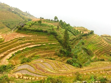 Рисові тераси в Китаї