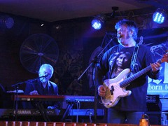 The Animals