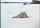 на работу в понедельник