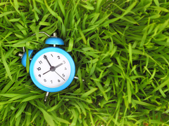 Летнее время в Украине 2020