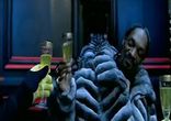 snoop dogg - boss life