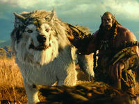 Warcraft