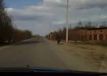 Дорога додому