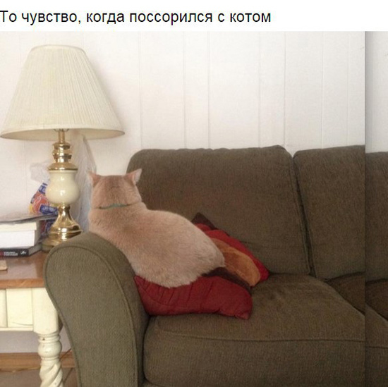 То чувство, когда...