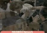 Драка - М.Кэмби против Д.Фэрри !!!