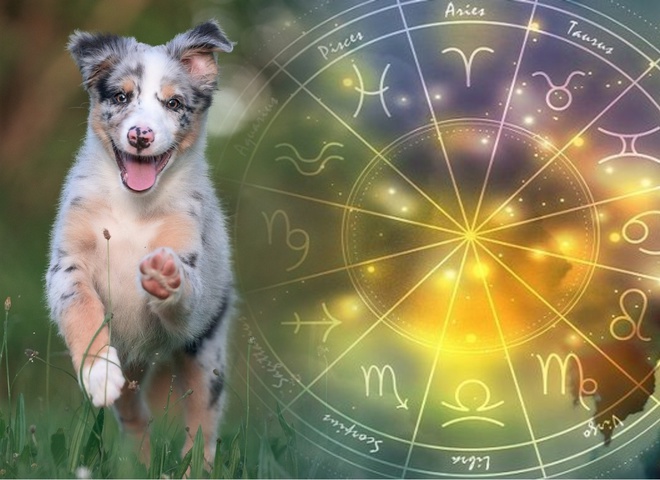 Везунчики місяця: стали відомі найудачливіші знаки Зодіаку березня 2023