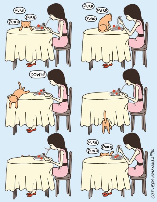 Комиксы про котов