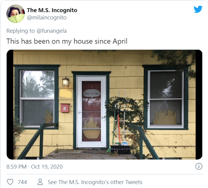 "Мой дом с апреля выглядит так"