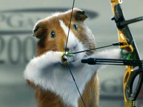 Свинья олимпиада