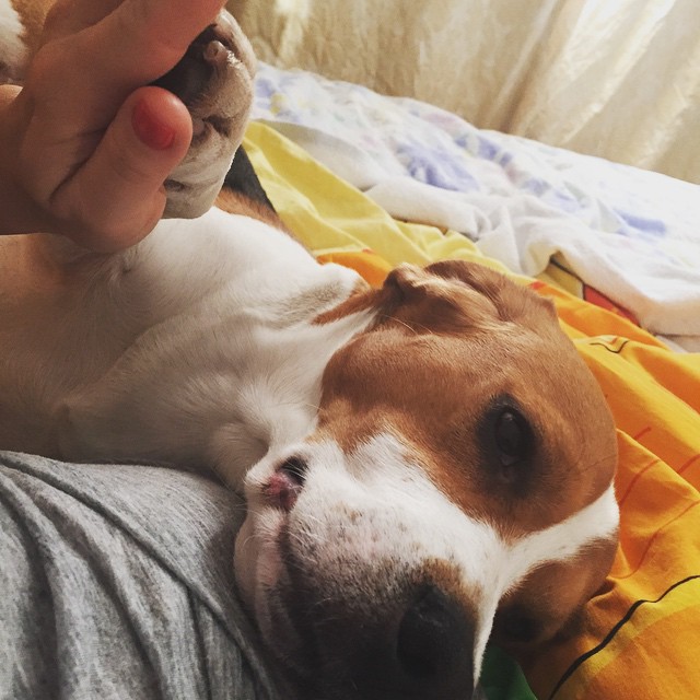 Юля Волкова