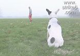 ЛЮБЛЮ ФУТБОЛ