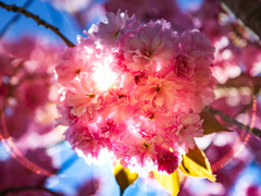 Какой праздник отмечают 8 апреля