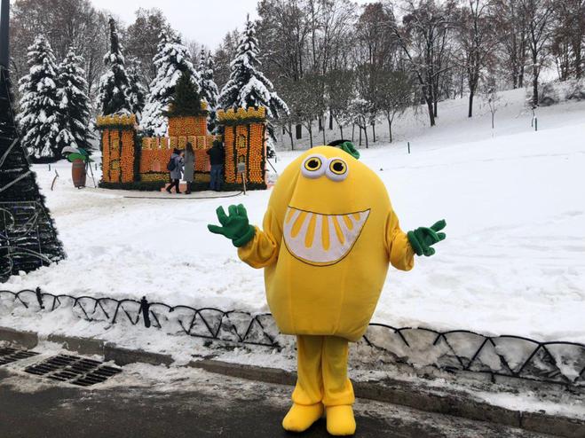 Цитрусовый фестиваль: в Киеве построили замки из апельсинов и лимонов