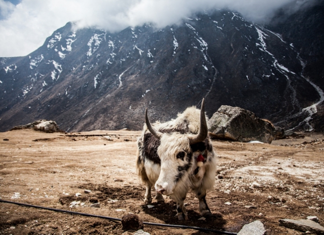 Непал: как выглядели Гималаи до страшного землетрясения