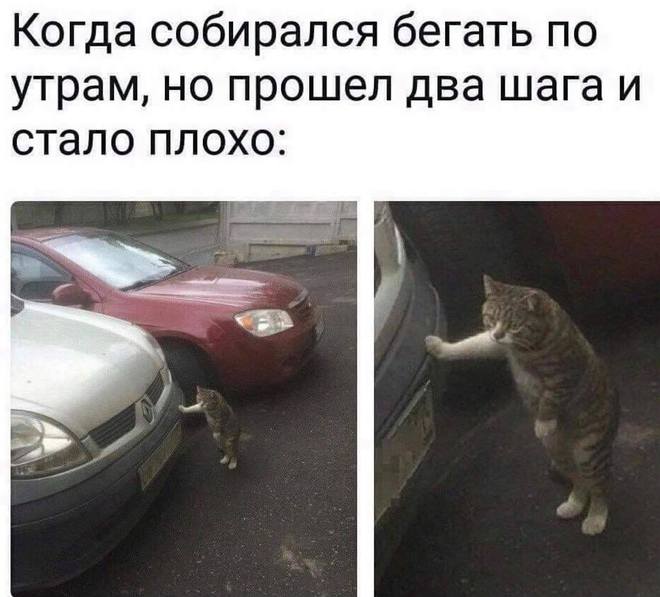 Жизнь и утренняя пробежка