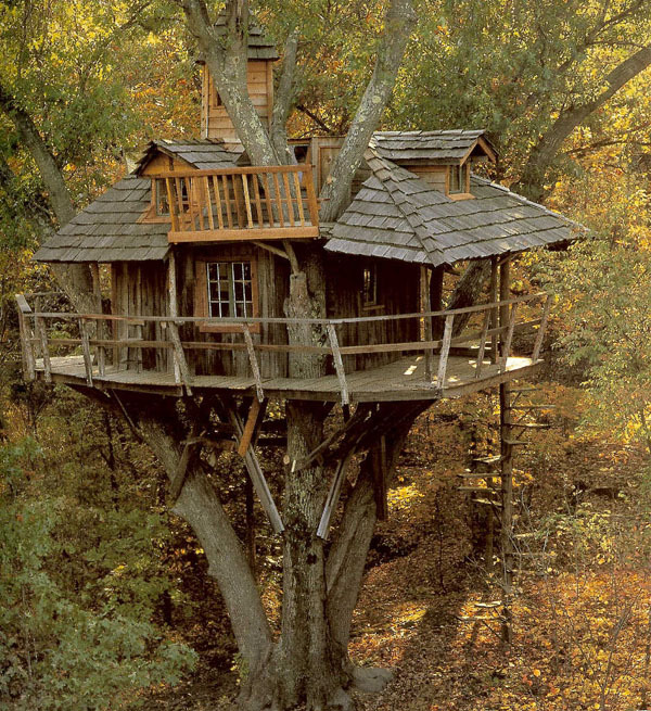 Сказочные дома на деревьях