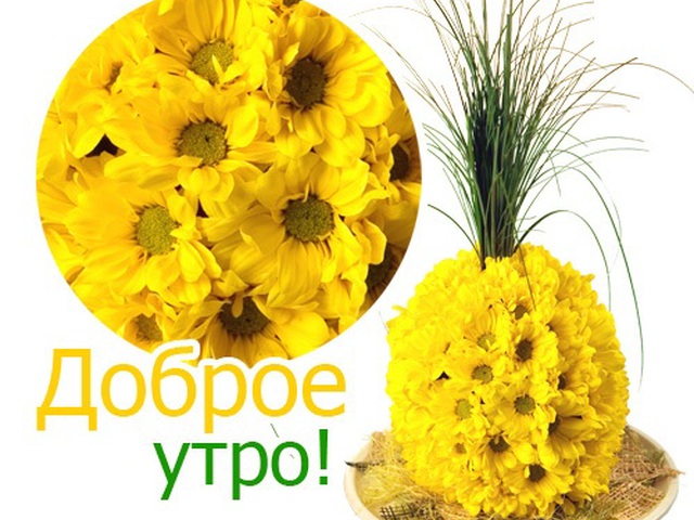 Доброе весеннее утро картинки прикольные смешные с надписью, надписями такси разместить