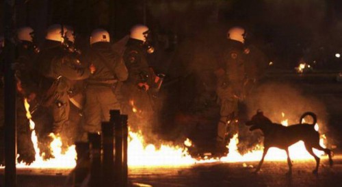 Собака- протестовака