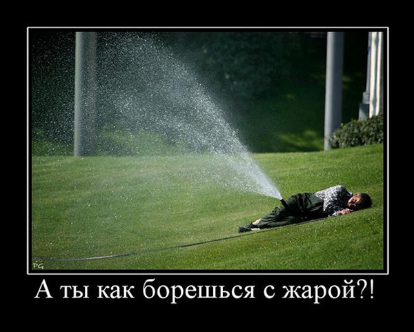 ТОП лучших демотиваторов про лето и жару