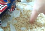Маленькая ласка