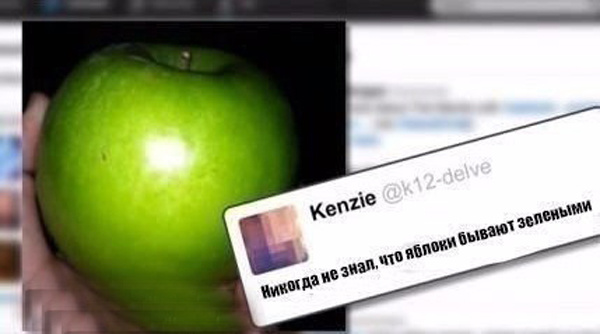 Подборка самых тупых комментариев в мире