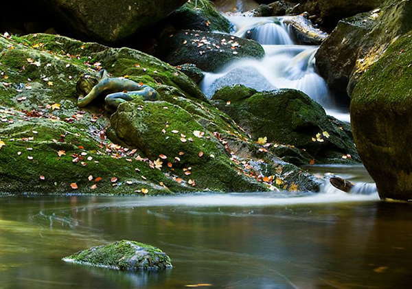 Маскировка 80 уровень