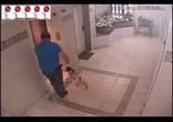 Хозяйка уехала на лифте без мопса