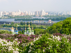 Яке свято відзначають 30 травня