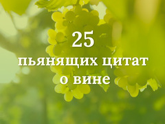 25 пьянящих цитат о вине