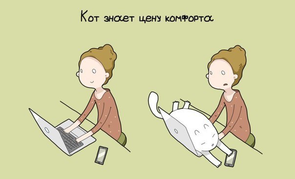 9 причин иметь кота