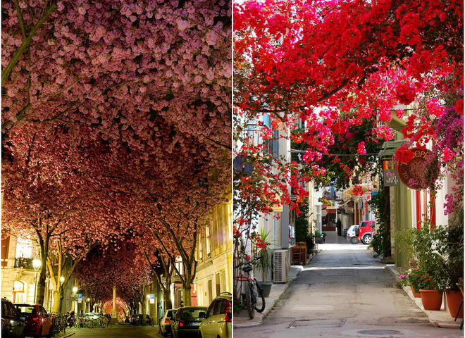 Волшебные улицы в тени деревьев и цветов