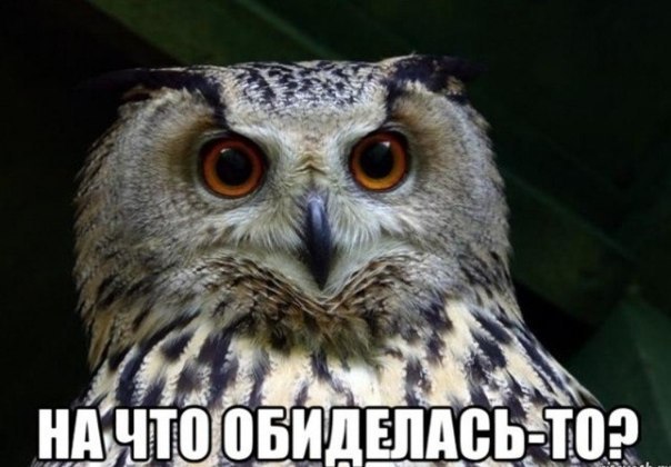 Разговор с любимой