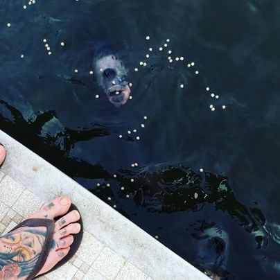 Водонаева в Таиланде