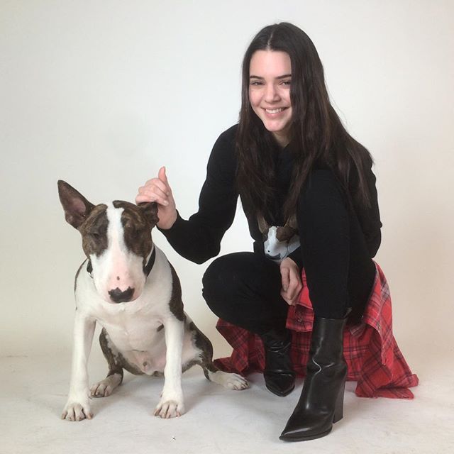 Невилл Джейкобс