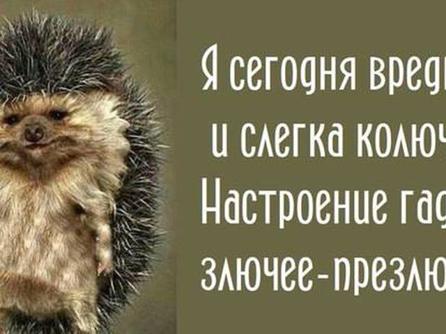 приколы про вторник картинки онлайн приколы про вторник картинки