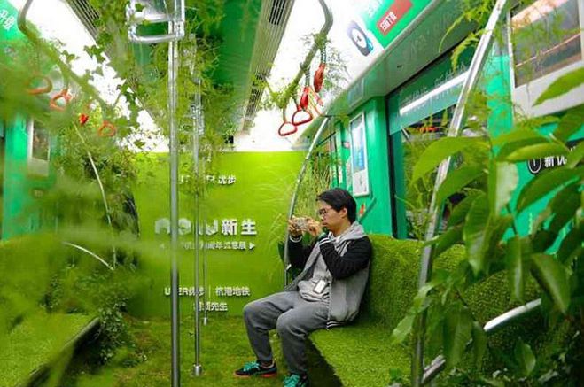 В китайском метро один из вагонов превратили в настоящий лес