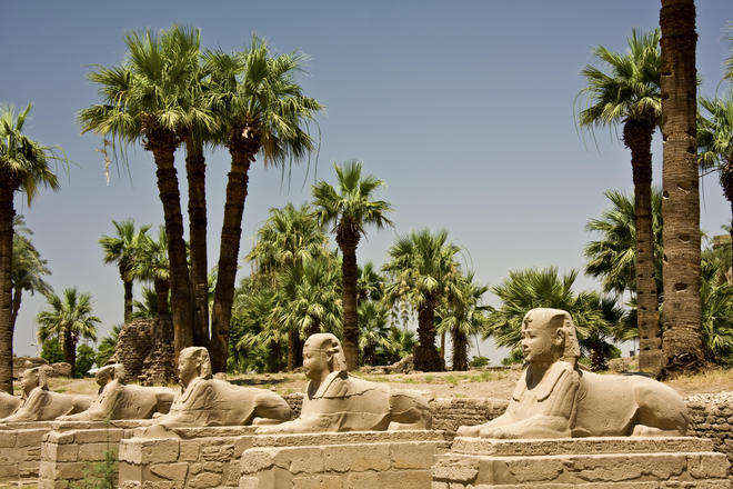 Где отдохнуть в Египте с ребенком