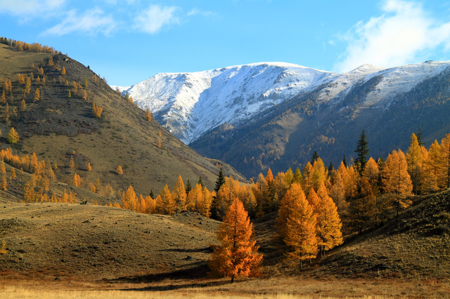 Осень в горах HD