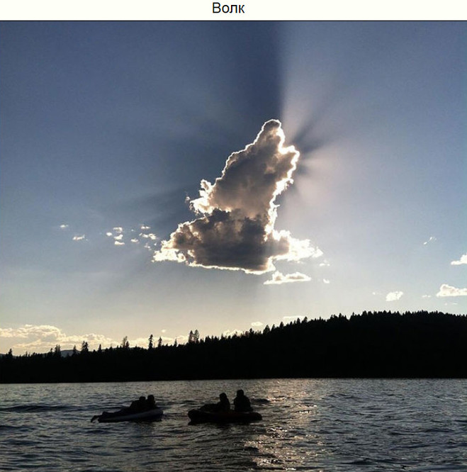 Показалось