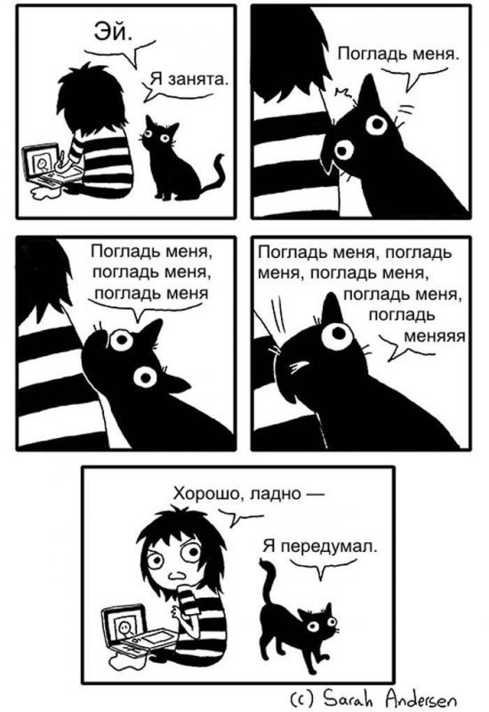 Смешные комиксы про котов