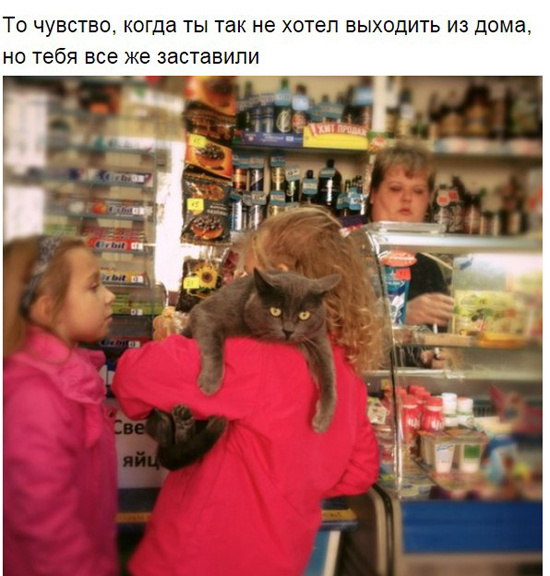 То чувство, когда...