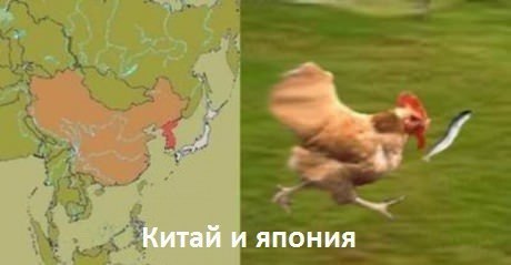 Карта мира. Курица и рыбка