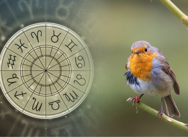 Найлютіший ворог кожного знаку зодіаку: астророзбір