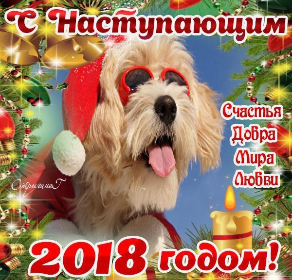 С наступающим Новым годом Собаки 2018!