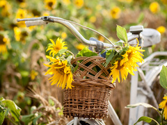 Яке свято відзначають 26 травня