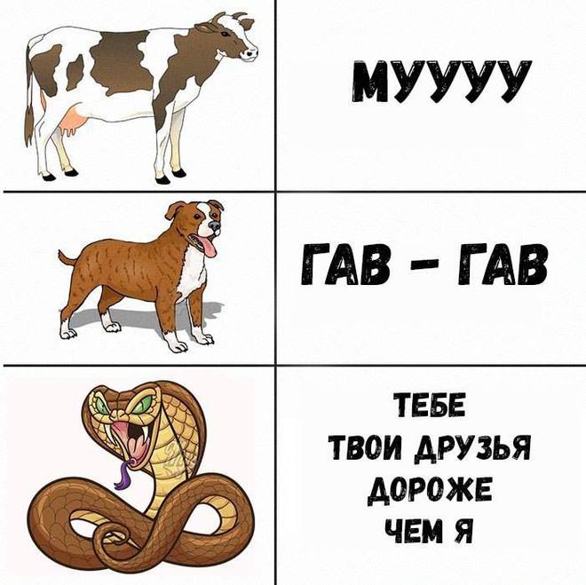 Комикс про животных и жену