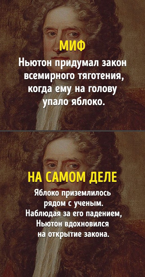 Правда и миф из школьной программы