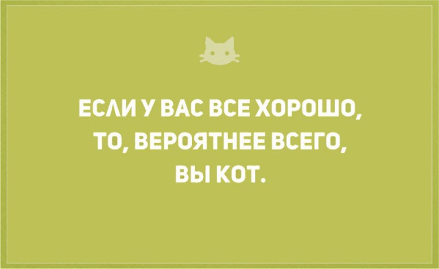 Без кота и жизнь не та