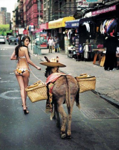 Забавные фотоприколы