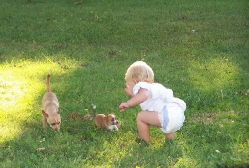 Малявочки с охраной)))